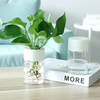 Rodonn™ EcoGlass Planter – Stylish Transparent Pot for Indoor Plants