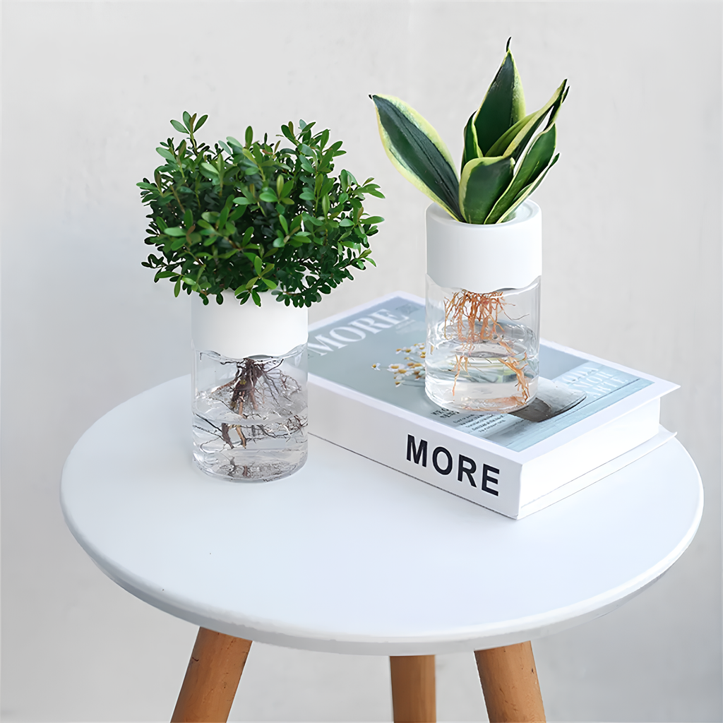 Rodonn™ EcoGlass Planter – Stylish Transparent Pot for Indoor Plants