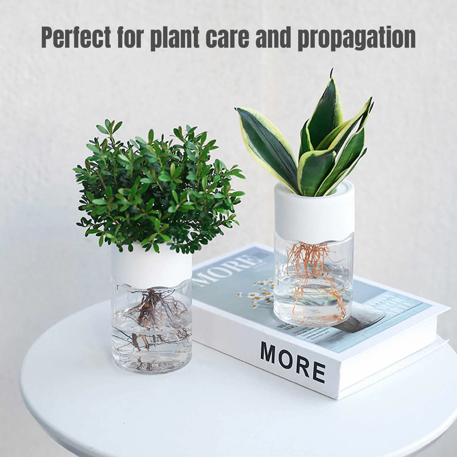 Rodonn™ EcoGlass Planter – Stylish Transparent Pot for Indoor Plants